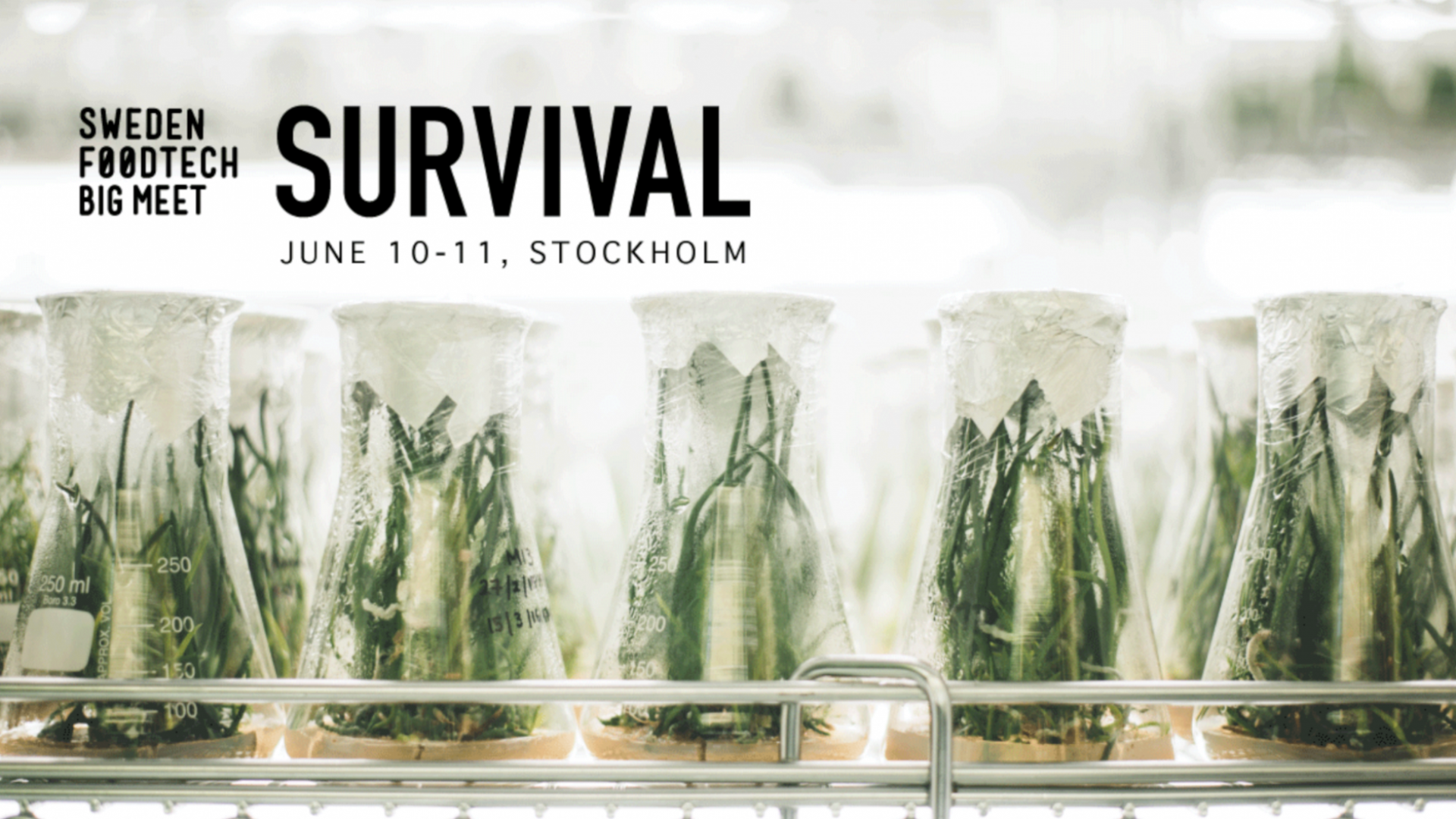 Winners at Sweden Foodtech Big Meet, fast-track to Rockstart Agrifood