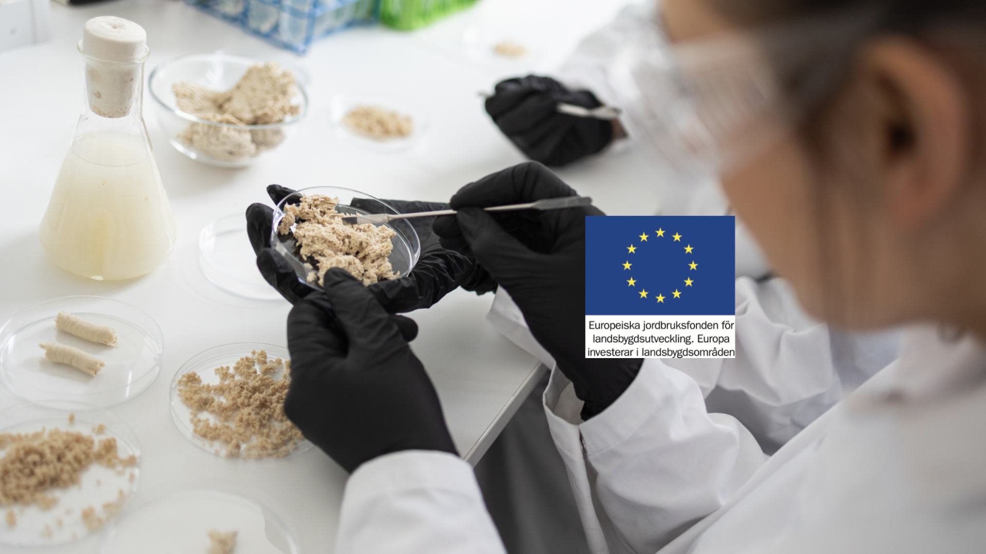 Mycorena Awarded Research Funding to Deepen the Industry Knowledge of Mycoprotein Nutrition